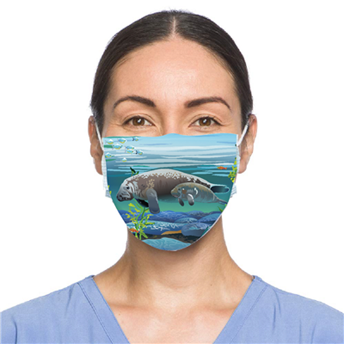 Dolphin Face Mask